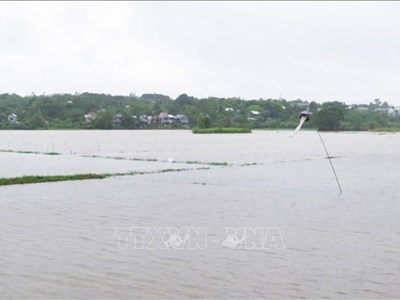 Bão số 1: Từ 15.30 sẽ điều tiết nước hồ thuỷ điện Hương Điền (Huế) về hạ du