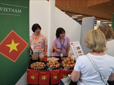 Sắc màu Việt Nam trong Lễ hội đá quý châu Á vì mục đích thiện nguyện