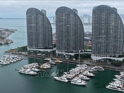 Trung Quốc tăng cường các biện pháp ứng phó với bão Wutip