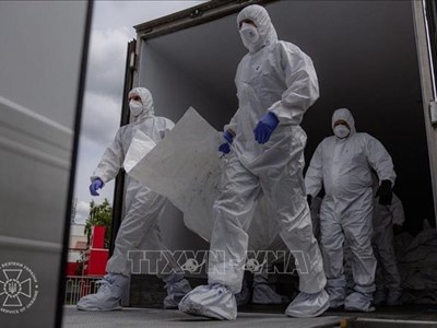 Nga, Ukraine tiếp tục trao đổi thi thể binh sĩ, tù nhân chiến tranh