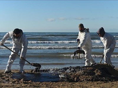 Nga thu thập hơn 1.000 tấn đất ô nhiễm sau sự cố tràn dầu ở Biển Đen