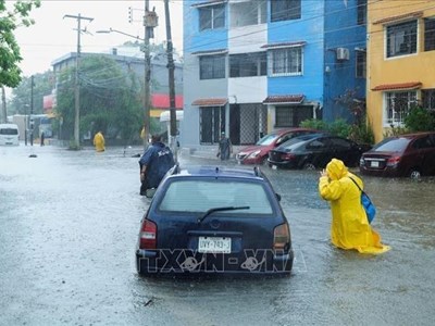 Bão Erick đổ bộ Mexico, cảnh báo lũ lụt và lở đất