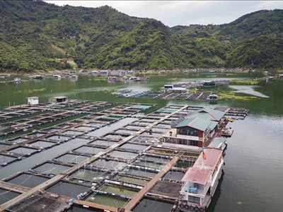 Du lịch kết hợp ngư nghiệp tạo sự phát triển bền vững