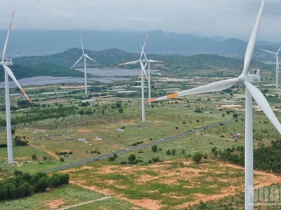 Khơi dậy tiềm năng trung tâm năng lượng tái tạo ở Việt Nam