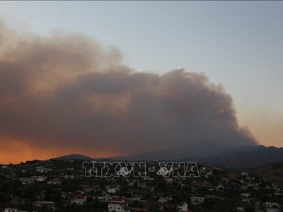 Hy Lạp ban bố tình trạng khẩn cấp do cháy rừng