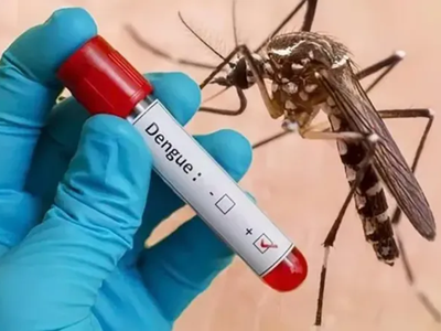 Các tỉnh thành phía Nam: Số ca sốt xuất huyết nặng gia tăng