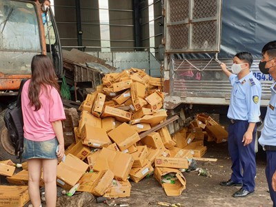 Quản lý thị trường Hà Nội: Giám sát việc tiêu hủy hơn 2,5 tấn nấm kim châm quá hạn sử dụng