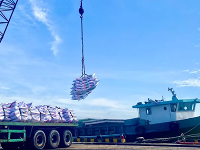 Quốc tế học và Quan hệ quốc tế: Phân biệt để đào tạo, chọn học đúng và hiệu quả