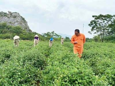 Phát triển sản phẩm OCOP từ tài nguyên bản địa