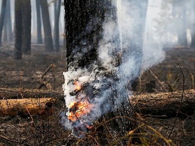 Căng thẳng Israel - Iran: Khoảng 9.000 ha rừng của Iran bị tàn phá