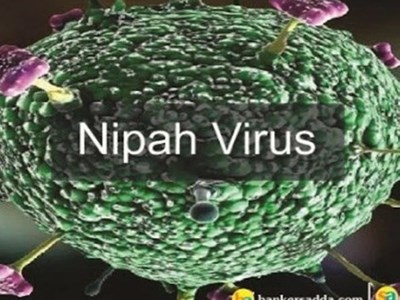 Virus Nipah mà 2 người ở Ấn Độ mắc phải nguy hiểm cỡ nào?