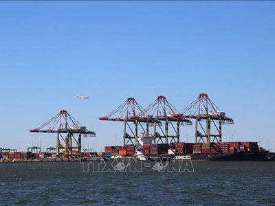 Thuế quan của Mỹ trước giờ G: Lựa chọn nào cho các đối tác?