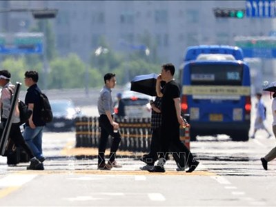 Seoul ghi nhận mức nhiệt đầu tháng 7 cao nhất trong gần 120 năm qua