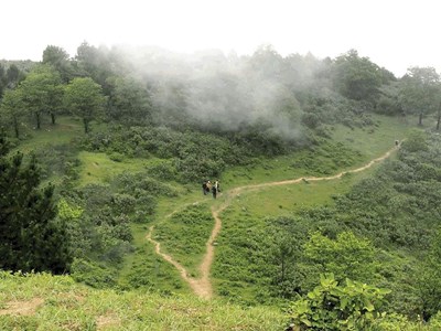 Hà Nội: Siết chặt quản lý rừng và đất lâm nghiệp, ứng dụng công nghệ giám sát cháy rừng