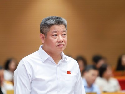 Phó Chủ tịch Hà Nội: Không còn tình trạng ‘rau hai luống, lợn hai chuồng’