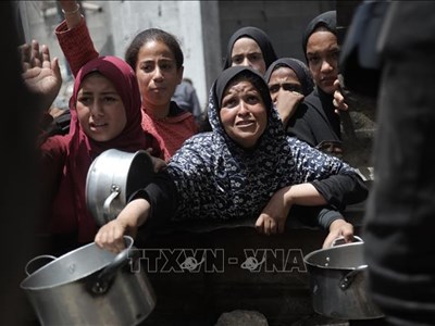 Lý do nhiều tổ chức quốc tế từ chối hợp tác với GHF trong hoạt động cứu trợ ở Gaza