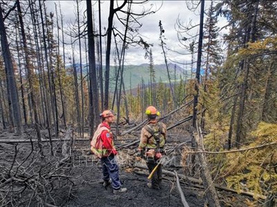 Nắng nóng và cháy rừng gia tăng tại nhiều khu vực trên thế giới