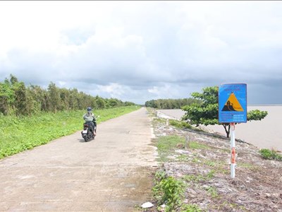 Cà Mau bảo vệ đê biển Tây trong mùa mưa bão