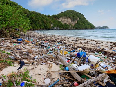 Ngành du lịch hướng tới không rác thải nhựa