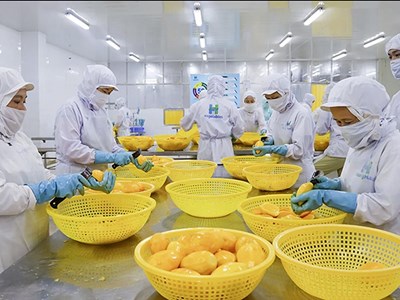 Xuất khẩu rau, quả năm 2025: Liệu có “cán đích” 8 tỉ USD?