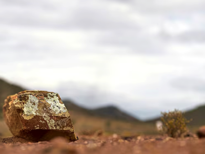 Trung Quốc hạn chế xuất khẩu đất hiếm, Ấn Độ nắm bắt cơ hội, tăng tốc khai thác