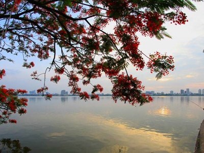 Dự báo thời tiết ngày 16.7: Hà Nội ngày nắng, chiều tối chuyển mưa dông