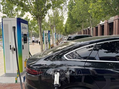 Cấm xe xăng vào trung tâm: Các thành phố lớn trên thế giới đã làm thế nào?