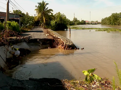 ĐBSCL: Khẩn trương ứng phó sạt lở, bảo vệ an toàn người dân