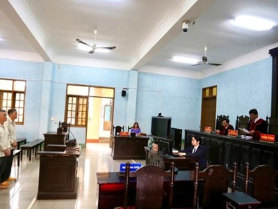 Tuyên án chủ tịch một công ty trồng rừng có hành vi phá rừng