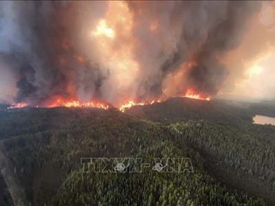 Cháy rừng ở Canada: Diện tích bị thiêu rụi gần bằng một quốc gia châu Âu