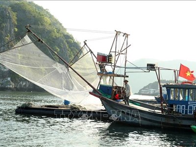 Hải Phòng khẩn trương ứng phó bão số 3