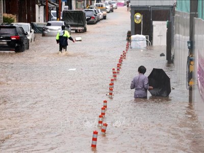 Hàn Quốc: Mưa lớn khiến 8 người thiệt mạng, 7.000 người phải sơ tán