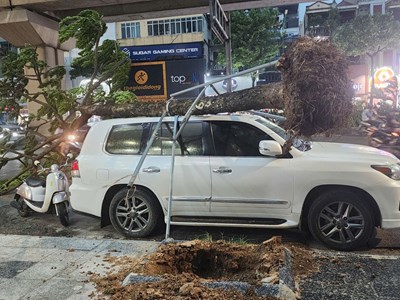 Hà Nội chỉ đạo toàn diện ứng phó bão số 3 WIPHA