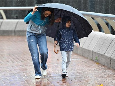 Hong Kong hủy nhiều chuyến bay và đóng cửa trường học khi bão Wipha tiến gần