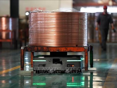 Nhà sản xuất đồng lớn nhất thế giới lo ngại thuế quan của Mỹ gây bất ổn thị trường