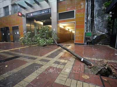 Trung Quốc triển khai nhiều biện pháp ứng phó bão Wipha