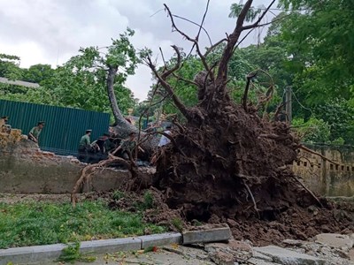 Ban An toàn giao thông thành phố Hà Nội kích hoạt ứng phó khẩn cấp bão số 3