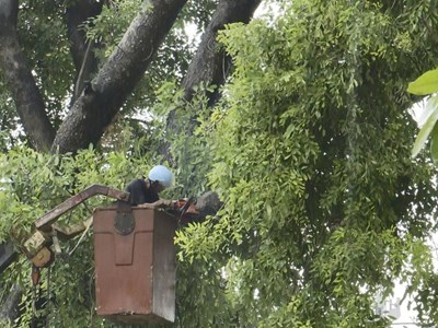 Hòa Lạc triển khai ứng phó bão số 3 và phòng, chống thiên tai, cứu hộ cứu nạn