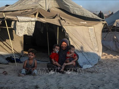 Palestine yêu cầu Liên đoàn Arab họp khẩn về khủng hoảng Gaza