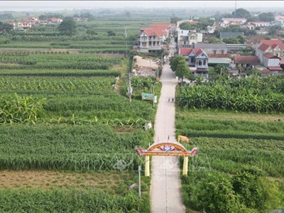 Các địa bàn xung yếu của Hà Nội chủ động ứng phó các cấp độ rủi ro thiên tai