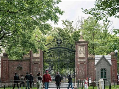 Căng thẳng tại tòa án liên bang giữa Harvard và chính quyền Tổng thống Trump