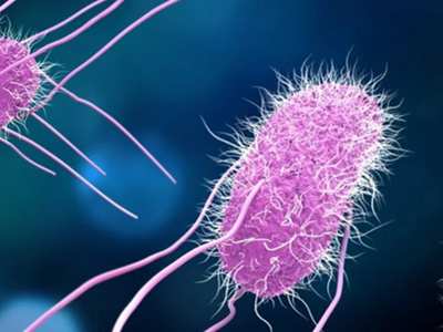 Bộ Y tế khuyến cáo các loại vi khuẩn thường gặp trong mùa mưa lũ