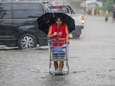 Philippines đóng cửa trường học, dừng hàng loạt chuyến bay khi bão Cỏ may áp sát
