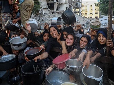 Xung đột Hamas - Israel: Hàng chục nghìn người ở Gaza suy dinh dưỡng nghiêm trọng