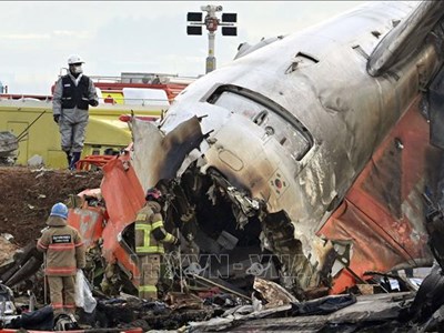 Hàn Quốc: Hé lộ khả năng phi công tắt nhầm động cơ trong thảm kịch Jeju Air