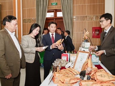 Nâng tầm thương hiệu cà phê Khe Sanh qua du lịch