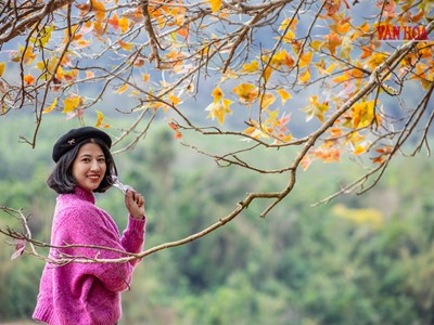 Mãn nhãn với mùa phong hương trút lá