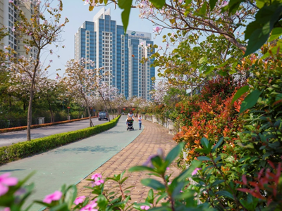 Khu đô thị Ciputra – Nhịp sống năng động phía Tây Bắc Hà Nội