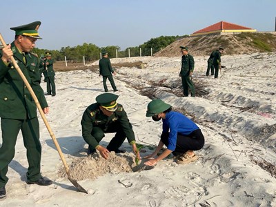 Lan tỏa giá trị bền vững từ “Tết trồng cây đời đời nhớ ơn Bác Hồ”