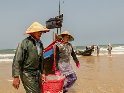 Niềm vui của ngư dân Quảng Trị trúng đậm sứa, ruốc